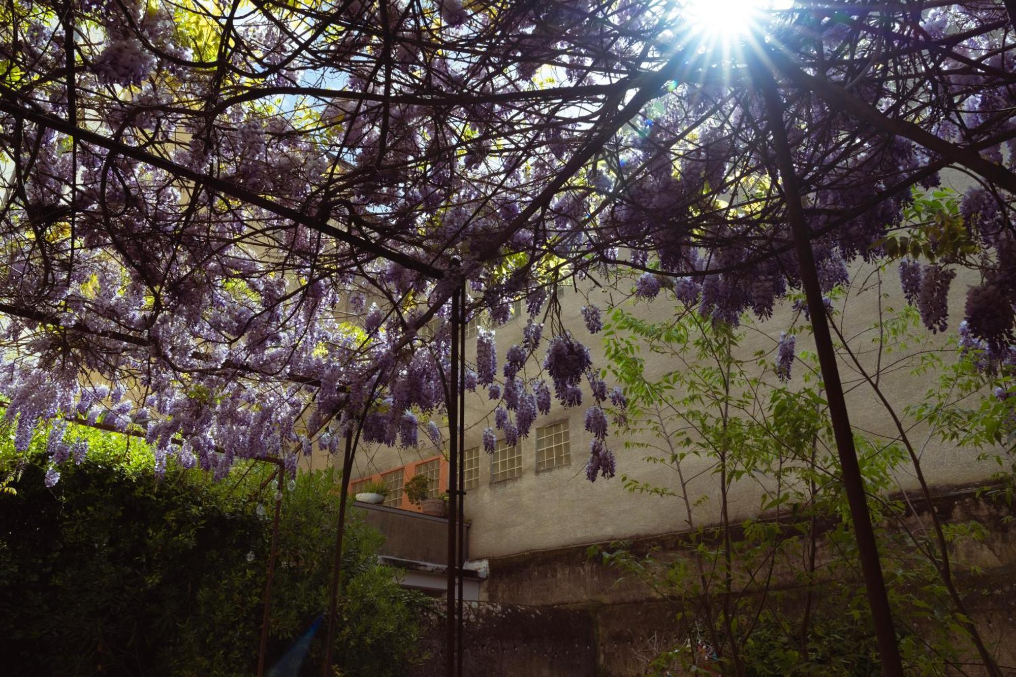 Carcassonne Bastide Apartment ภายนอก รูปภาพ